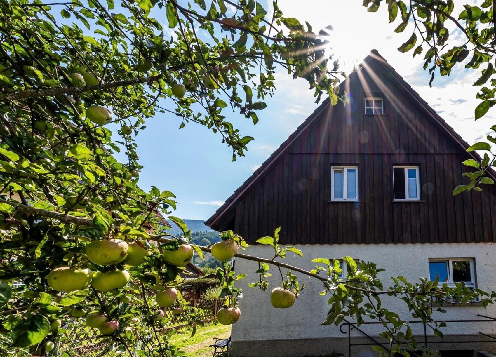 Gartenferienhaus "Annaluise" Schonau im Schwarzwald Exterior photo