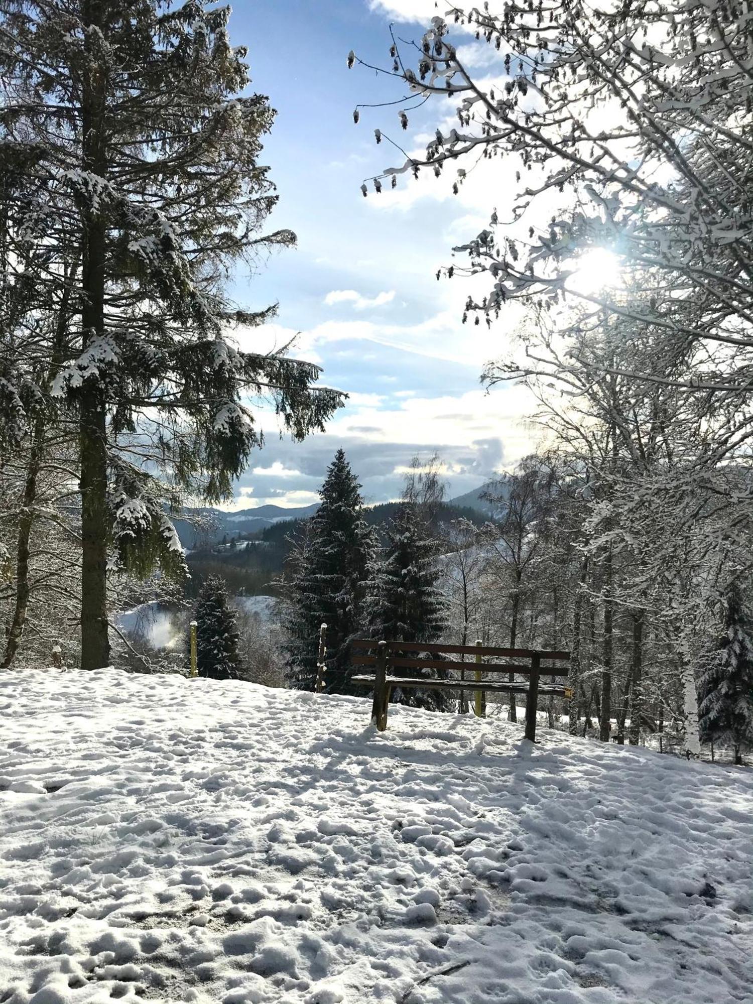 Gartenferienhaus "Annaluise" Schonau im Schwarzwald Exterior photo